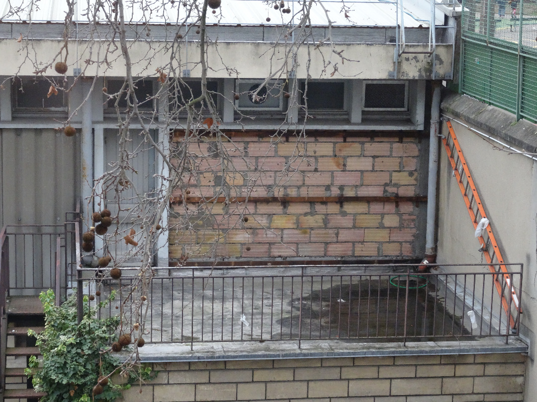 Terrasse_de_recuperation_eaux_pluviales_Gymnase_Gamzon.JPG